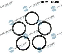 Dr.Motor Automotive Dichtring ÖLablaßSchraube FüR Citroen C4 II Ford Focus III