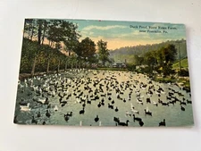 Duck Pond River Ridge Farm near Franklin Pennsylvania Postcard