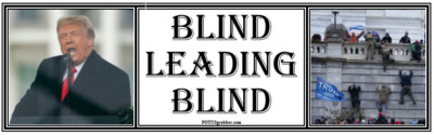 anti Trump:BLIND LEADING BLIND humorous political bumper sticker