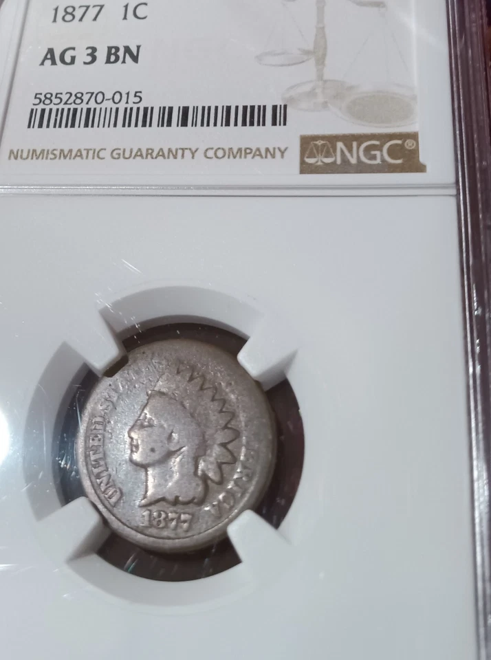 1877 Indian Head cent, NGC About Good, AG3 - strong reverse, brown w/ toning - Image 2 of 4