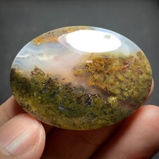 Scenic Moss Agate Cabochon 39.5x29x7mm High Quality