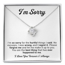I'm Sorry Gift For Wife Necklace, Sorry Gift for Girlfriend, Forgiveness Gift