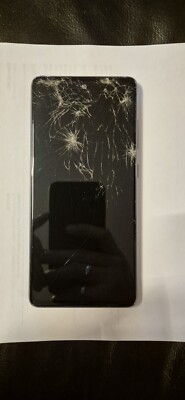Samsung Galaxy S20 FE SM-G780F/DSM - 128GB Displaybruch  Voll Funktionsfähig!