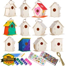 12 Pack Large Bird House Kits for Kids Wood Craft Paint Set