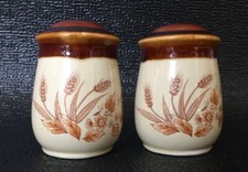Vnt CERAMIC SALT & PEPPER SHAKERS BROWN & TAN AUTUMN WHEAT, FLOWERS, LEAFS Japan