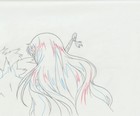 The Twelve Kingdoms Juuni Kokki Genga Douga Original Sketches Pierrot - Youko — photo 10