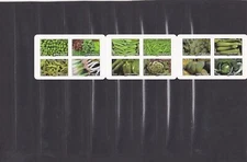 FRANCE 2012 Vegetable Notebook New ** YT BC739