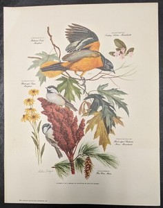 Arthur Singer Bird for sale | eBay