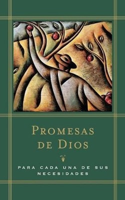 Promesas de Dios: Para cada una de sus necesidades by Jack Countryman (Spanish) 