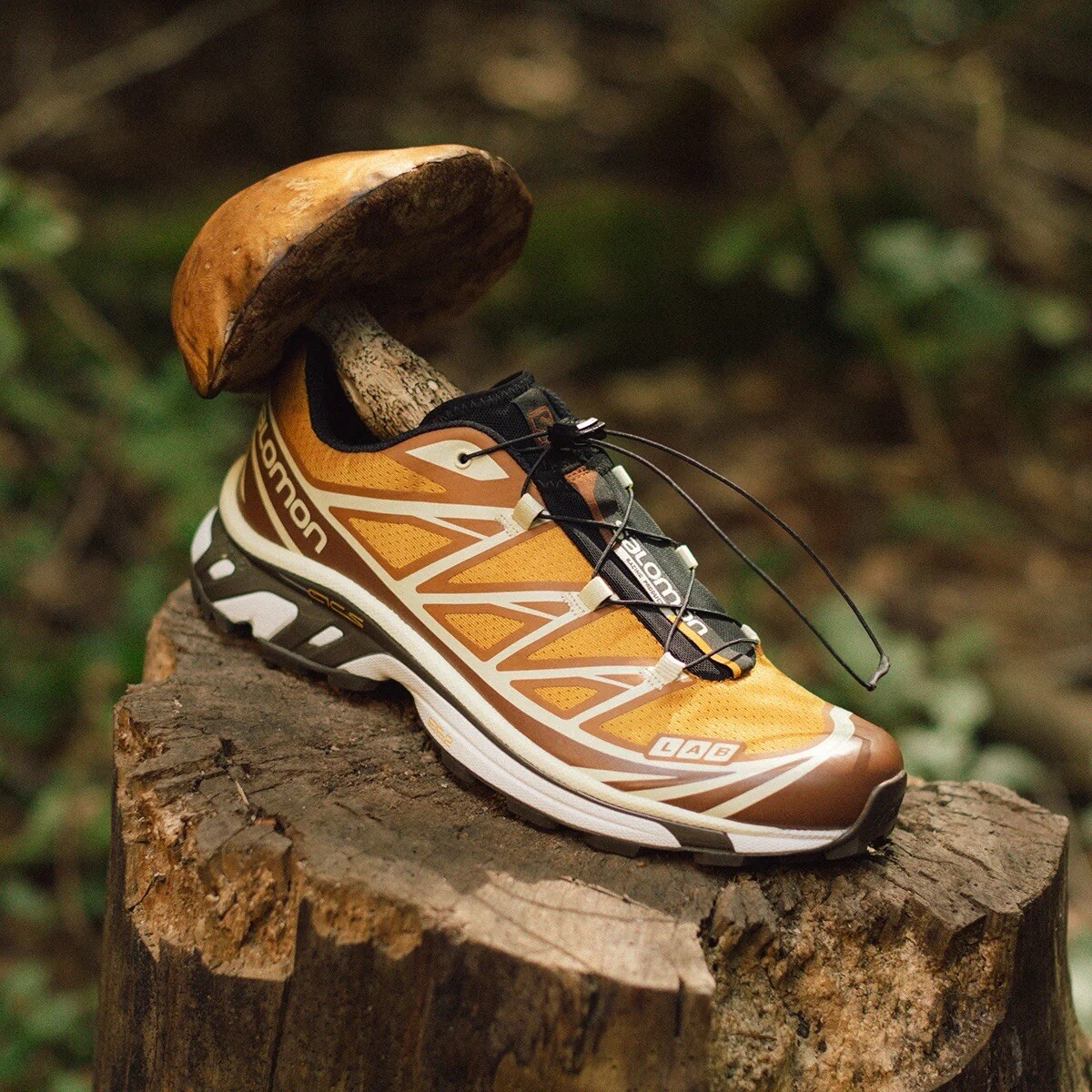 END x Salomon XT-6 Porcini Orange - UK9 / US9.5 END x Salomon XT-6 Porcini Orange - UK9 / US9.5