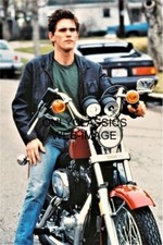 ACTOR MATT DILLON HARLEY DAVIDSON SPORTSTER MOTORCYCLE 8X12 PHOTO COOL TOUGH GUY