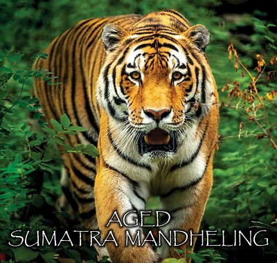 2, 5, 10 lb AGED Indonesia Sumatra Mandheling Fresh Roasted Indonesian Coffee
