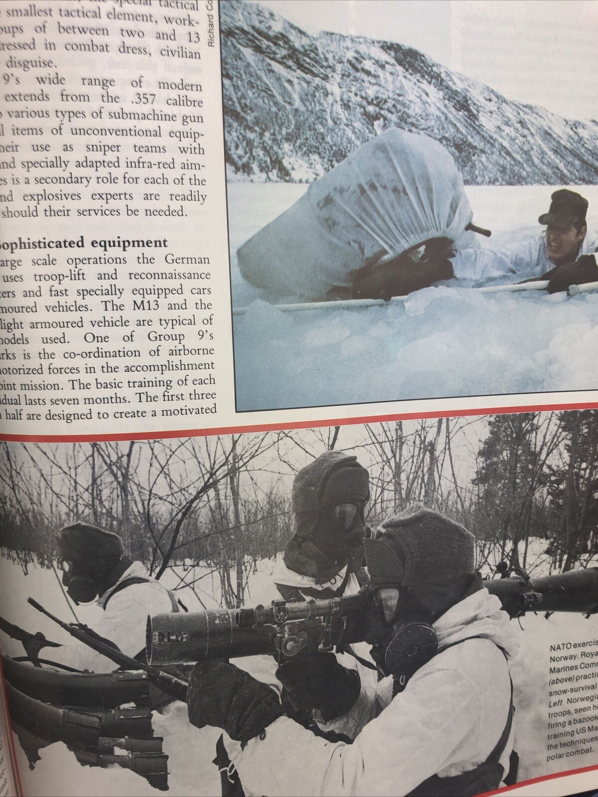 Picture 4 of 12