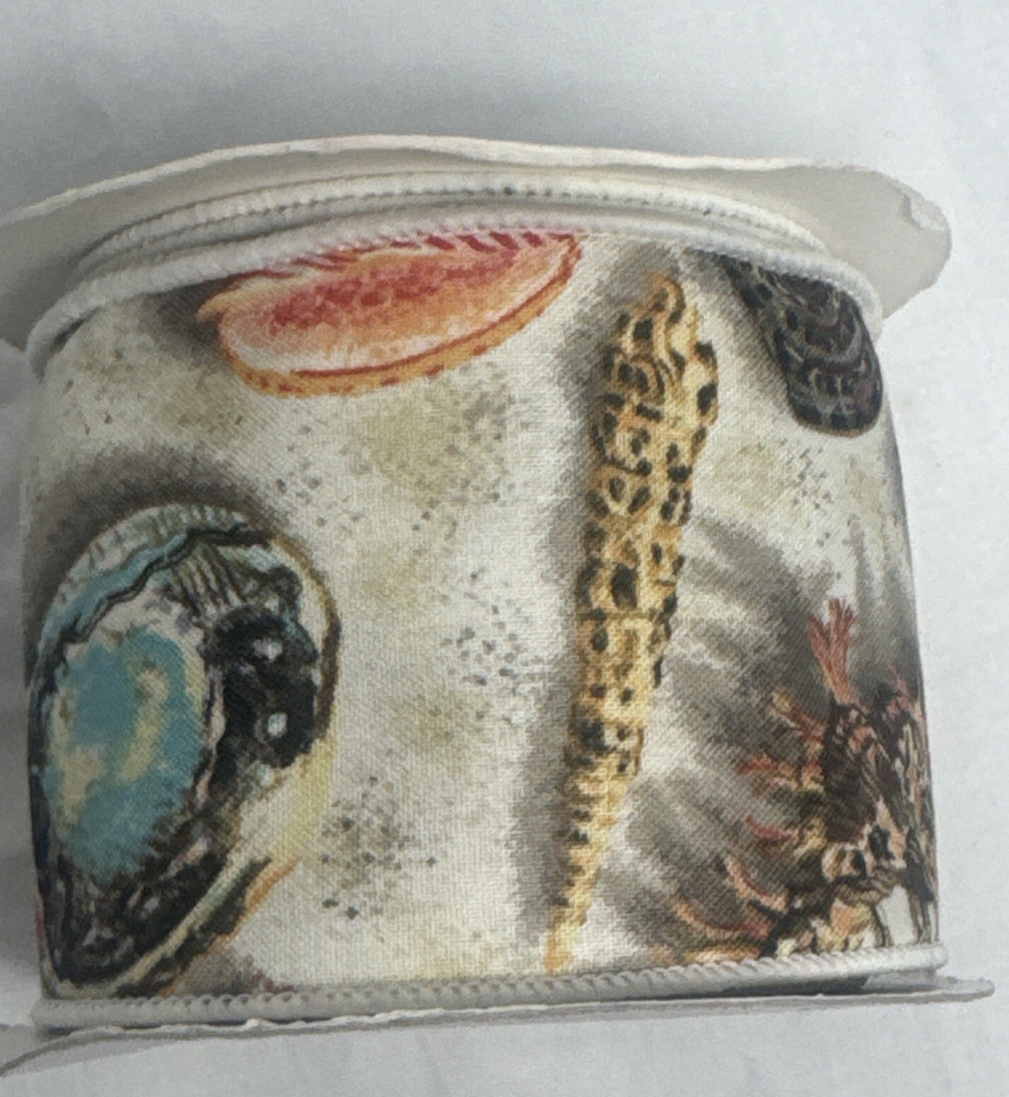 Sea Shell Wired Ribbon Dynasty Collection Reliant Beach Decoration