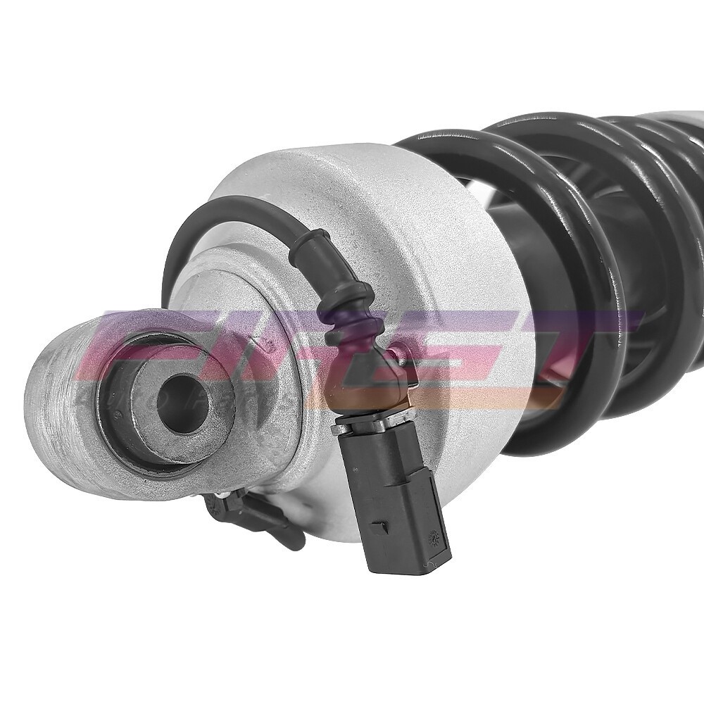 Front Left Shock Strut w/Magnetic Ride For 2007-2015 Audi R8 V8 V10 420412020S