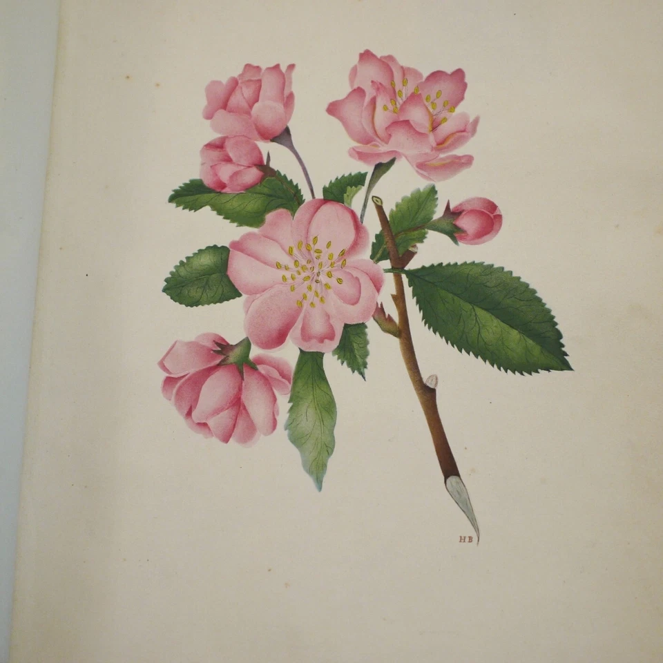 * Rare * Victorian MSS and Photograph Album in Full Leather.... 1836-1883 - Image 4 of 4