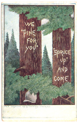c1908 Pine for You Spruce Up & Come A/S Leota Way Vintage Tree Forest Postcard