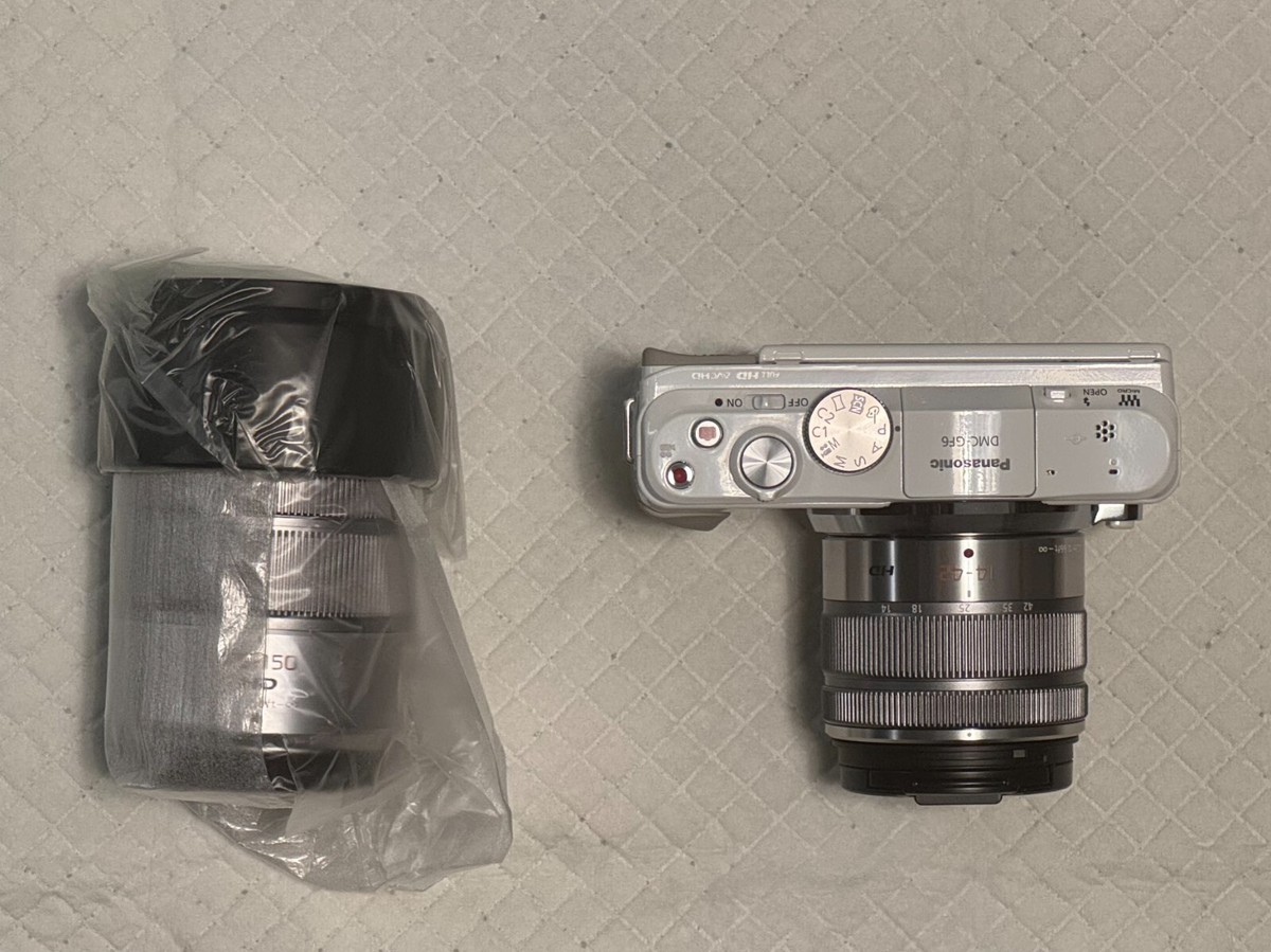 Panasonic Lumix DMC-GF6 Mirrorless Camera With G Vario 14-42mm