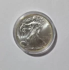 2013 $1 American Eagle 1 oz Silver Dollar Coin Walking Liberty listing #OP