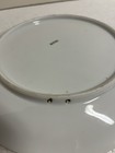 Vintage Carl Tielsch Altwasser Hand Painted porcelain Wall Plate. 10” Diameter — photo 4