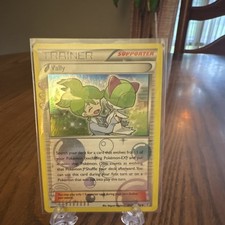Pokémon TCG Wally Trainer Generations Radiant Collection RC27/32 Holo Eng on eBay