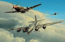 Wounded Warrior by Richard Taylor aviation art signed by two WW2 American pilots