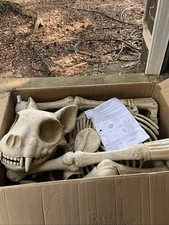 LARGE ANIMATED CAT SKELETON 4 Ft Halloween Yard Decoration Indoor/Outdoor NEW