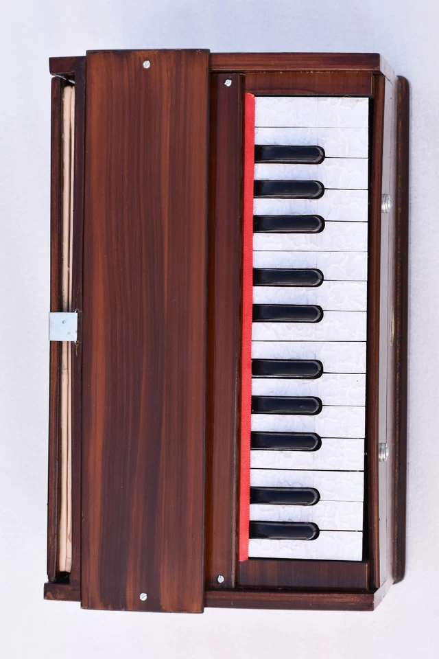 Nuevo Fuelle Único 2 Octavas Mini Bina Cañas Individuales 25 Llaves Armonio con Bolsa Foto 3 de 4