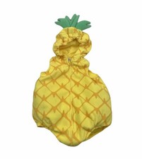 carters pineapple costume