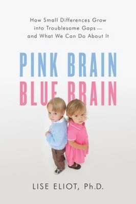 Pink Brain, Blue Brain : How Small Differences Grow into Troubles