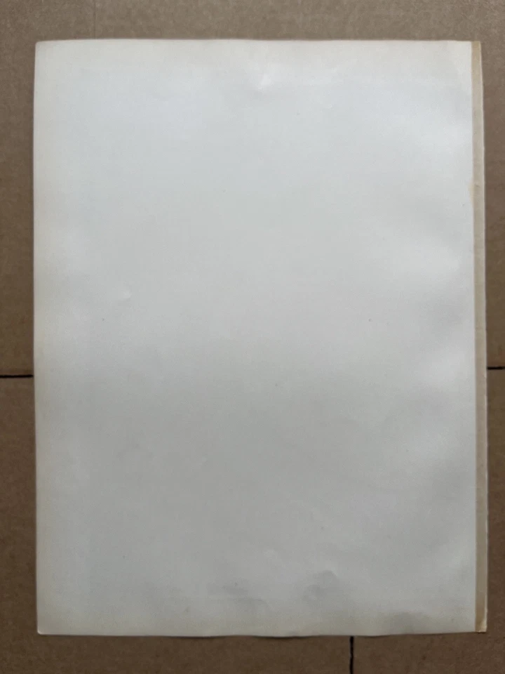 Antiguo mapa de la ciudad / plano de Londonderry Irlanda del Norte G W Bacon 1895 Foto 4 de 4