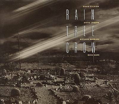 Rain Tree Crow by Rain Tree Crow (CD, 2003) Pop Rock, Experimental, Ambient