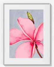 Pink Flower Art Prints, Plumeria Prints, Floral Prints, Flower Art, Florals