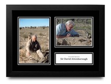 Sir David Attenborough Signed A4 Framed Photo Display Autograph Blue Planet +COA