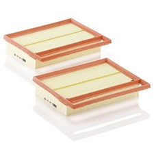 MANN-FILTER Luftfilter Motor Air Filter C 25 110-2