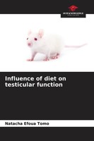 Influence Of Diet On Testicular Function Natacha Efoua Tomo