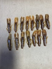 NetBait 3 Paca Chunk Alabama Craw Soft Plasti...