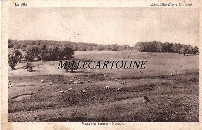 CAMIGLIATELLO and surroundings - Sacred scrub, pasture 1936