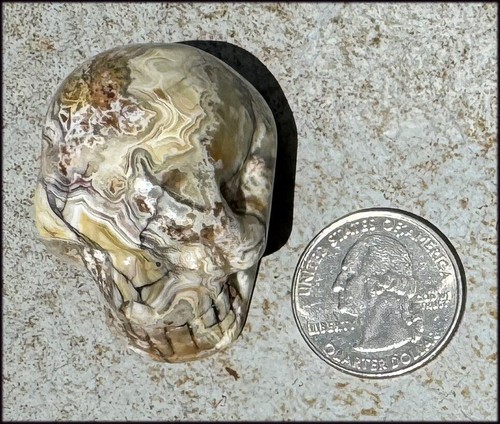 ~Mesmerizing~ Crazy Lace Agate CRYSTAL SKULL - Stamina, Divination - Picture 2 of 10