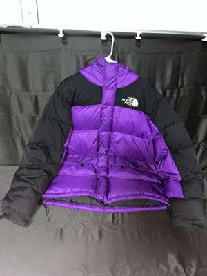 North Face 550 Hmlyn Down Parka Gravity Purple Vintage Jacket Retro Used