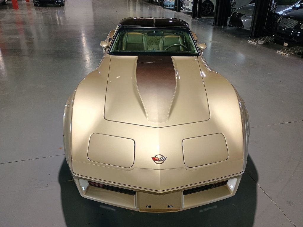 1982 Silver Beige (Champagne) Metallic Chevrolet Corvette   | C3 Corvette Photo 10