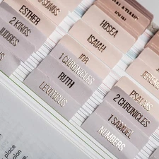 DiverseBee Laminated Bible Tabs (Rose Gold Embossed Lettering), Pearl 