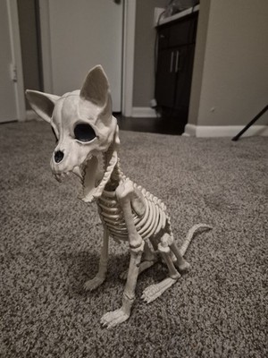 Halloween Animal Skeleton Decoration | Realistic Cat | Scary Horror Prop Haunted