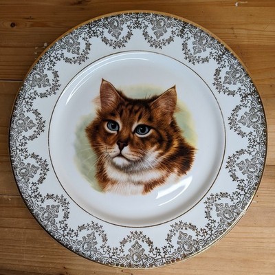 Vintage Katze Teller Bone China Portrait Deko Abendessen Goldrand braun Tabby 