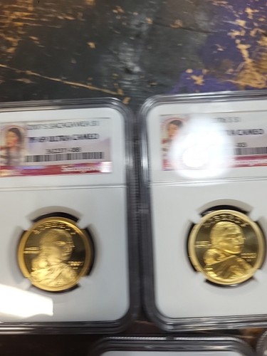 2001-2007 Sacagawea Dollars - Picture 2 of 13