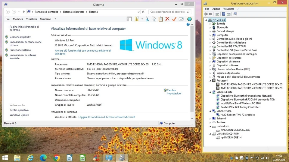 Notebook HP 255 G6 Windows 8 CPU AMD E2-9000e RAM 4GB DDR3 SSD 240GB Radeon R2 - Immagine 2 di 4