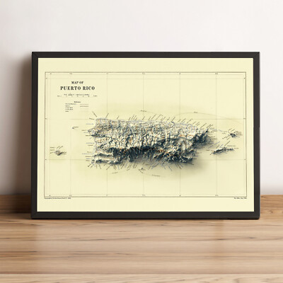Puerto Rico Map, Puerto Rico 2D Relief Map, Puerto Rico Vintage Map - 2D Flat