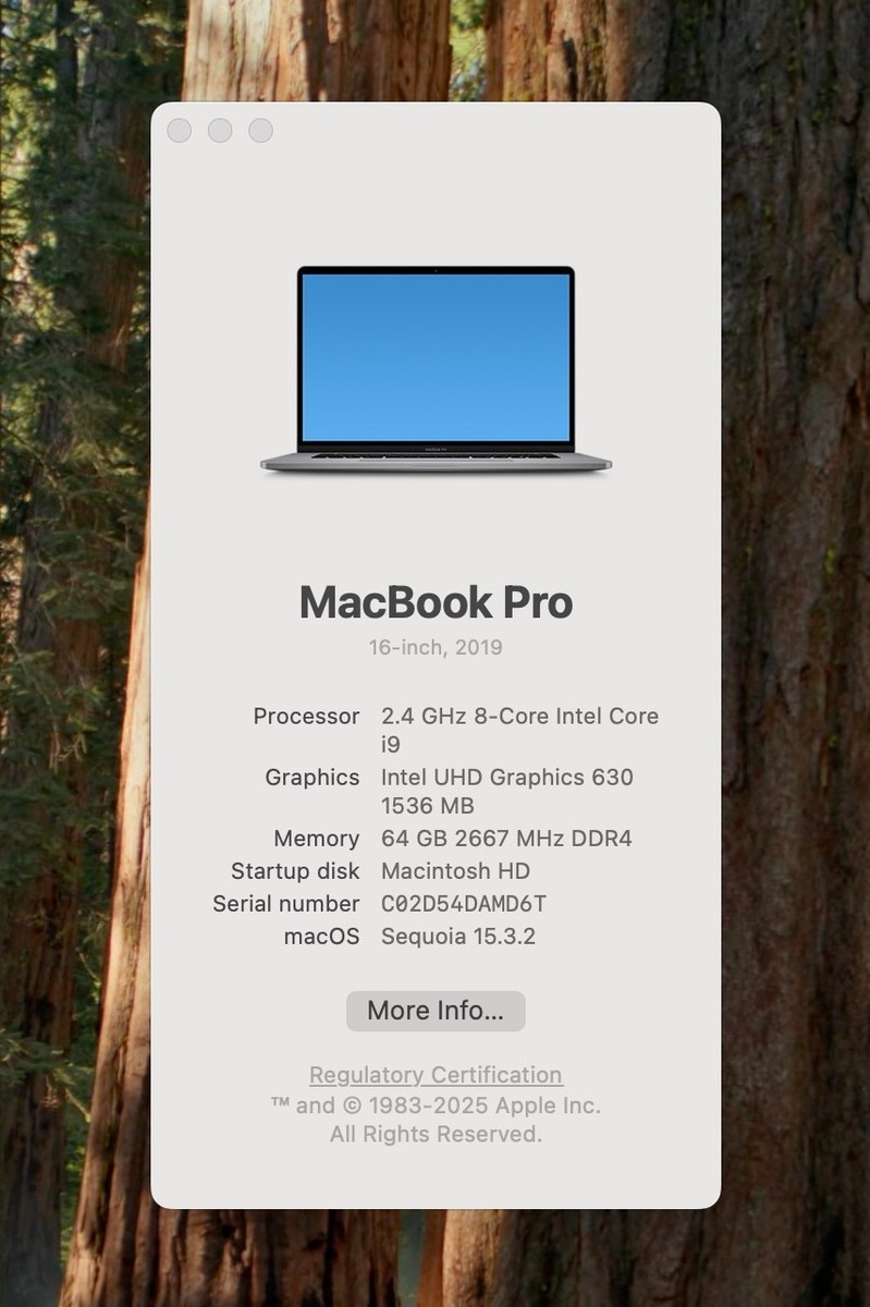 Macbook Pro 16 inch 2019 i9 64 GB 2 TB | eBay