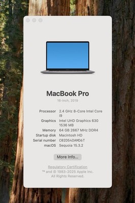Macbook Pro 16 inch 2019 i9 64 GB 2 TB