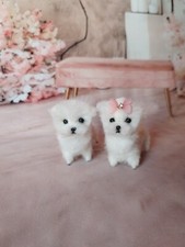 OOAK Needle felted dollhouse Maltese family puppies/dogs